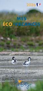 Mes éco-vacances 2026