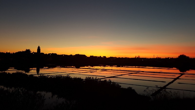 Between ocean and salt marshes