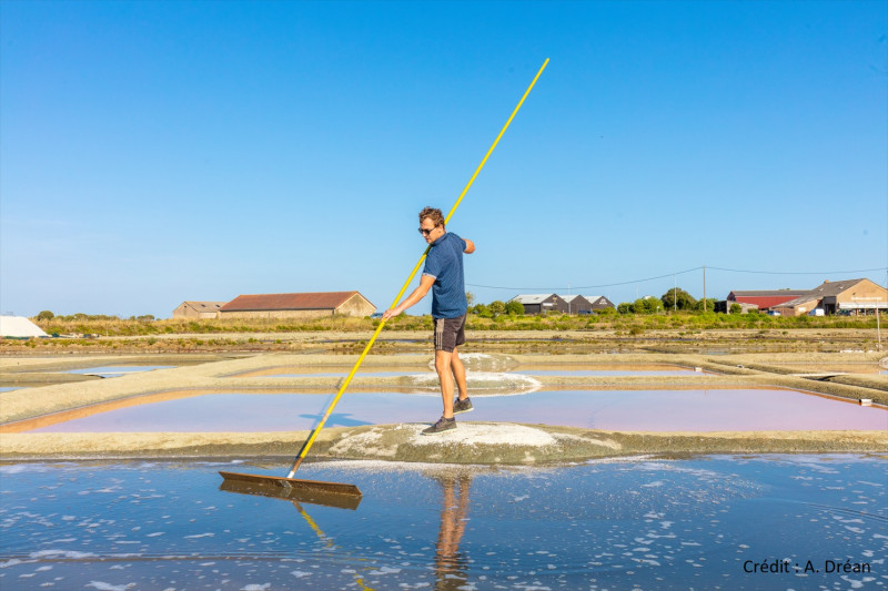 Les salines