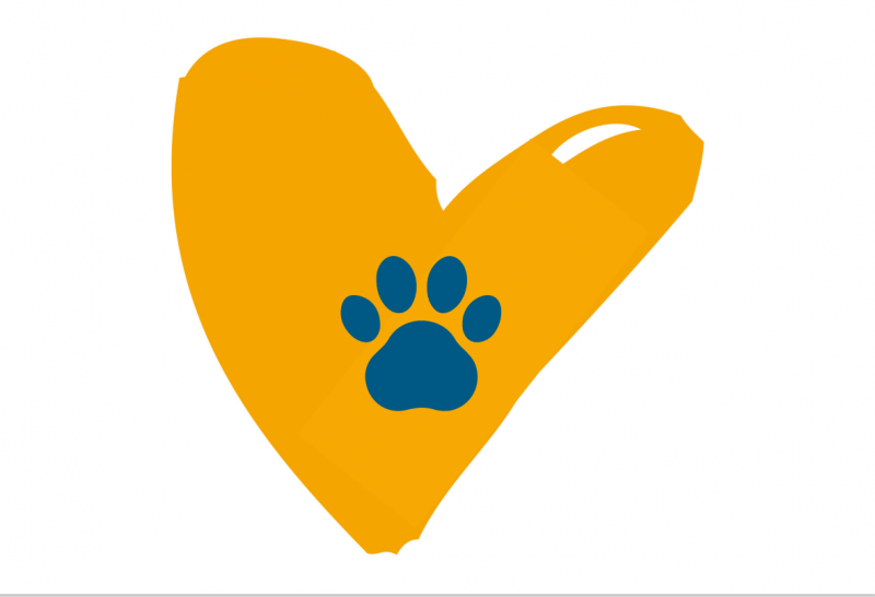 Chiens accept&eacute;s