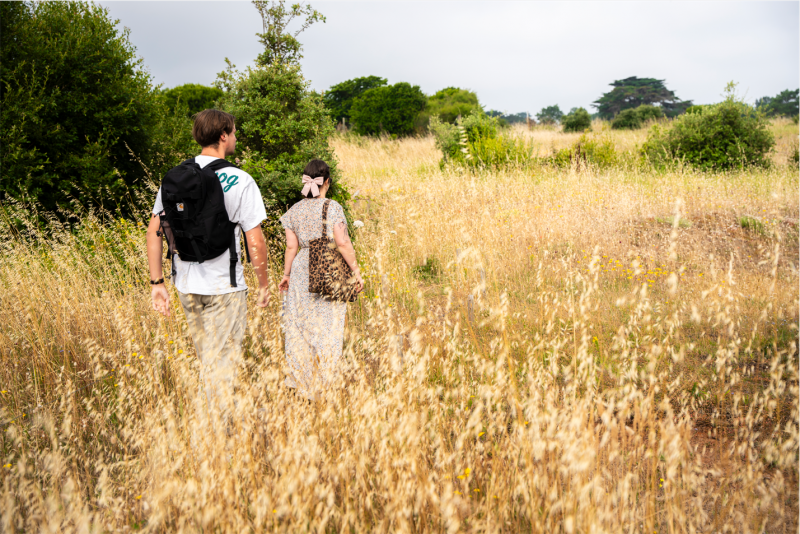 Die Dune de la Falaise