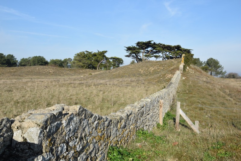 Die Dune de la Falaise