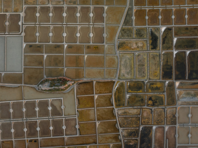 Les marais salants