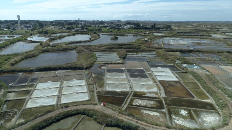 Entre océan et marais salants