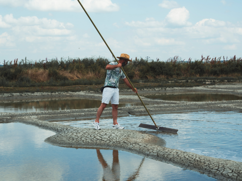 Les salines