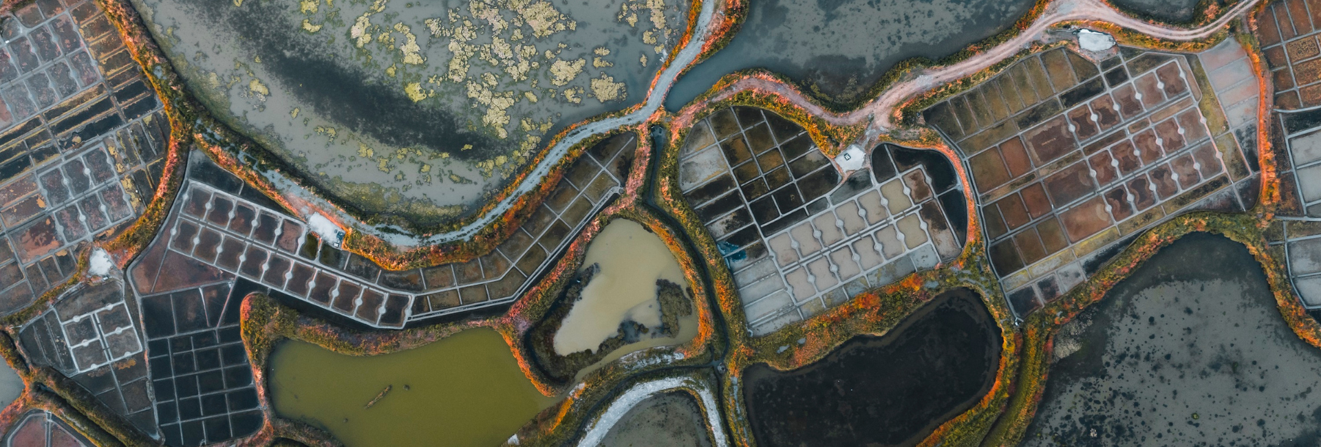 Marais salants - Batz-sur-Mer