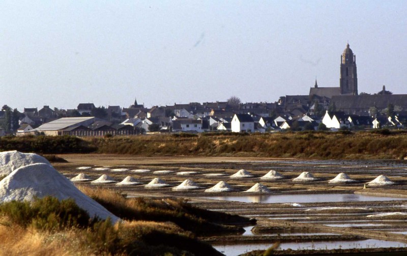 marais-salants-1-350