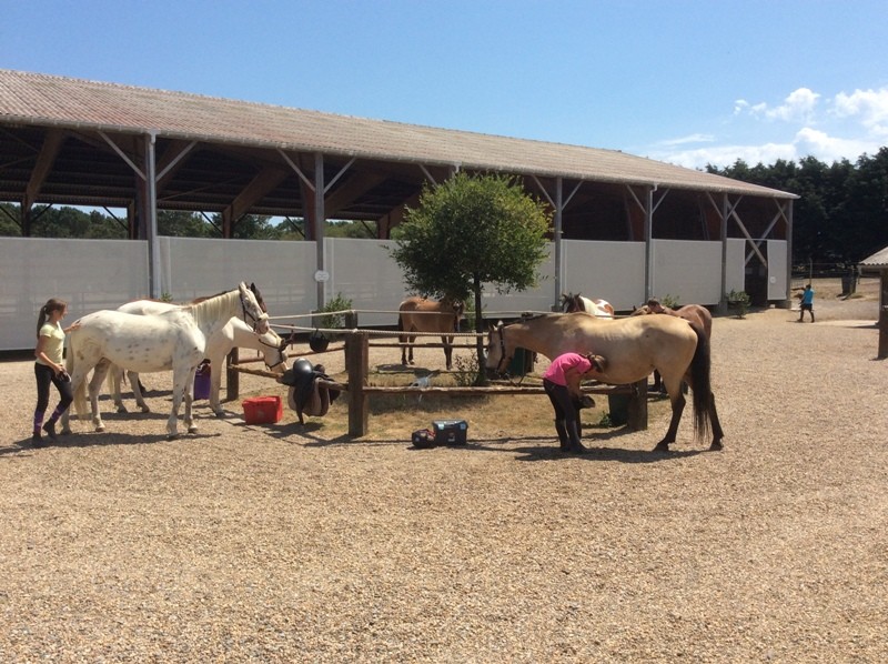 Domaine Equestre de Quérélo - 1