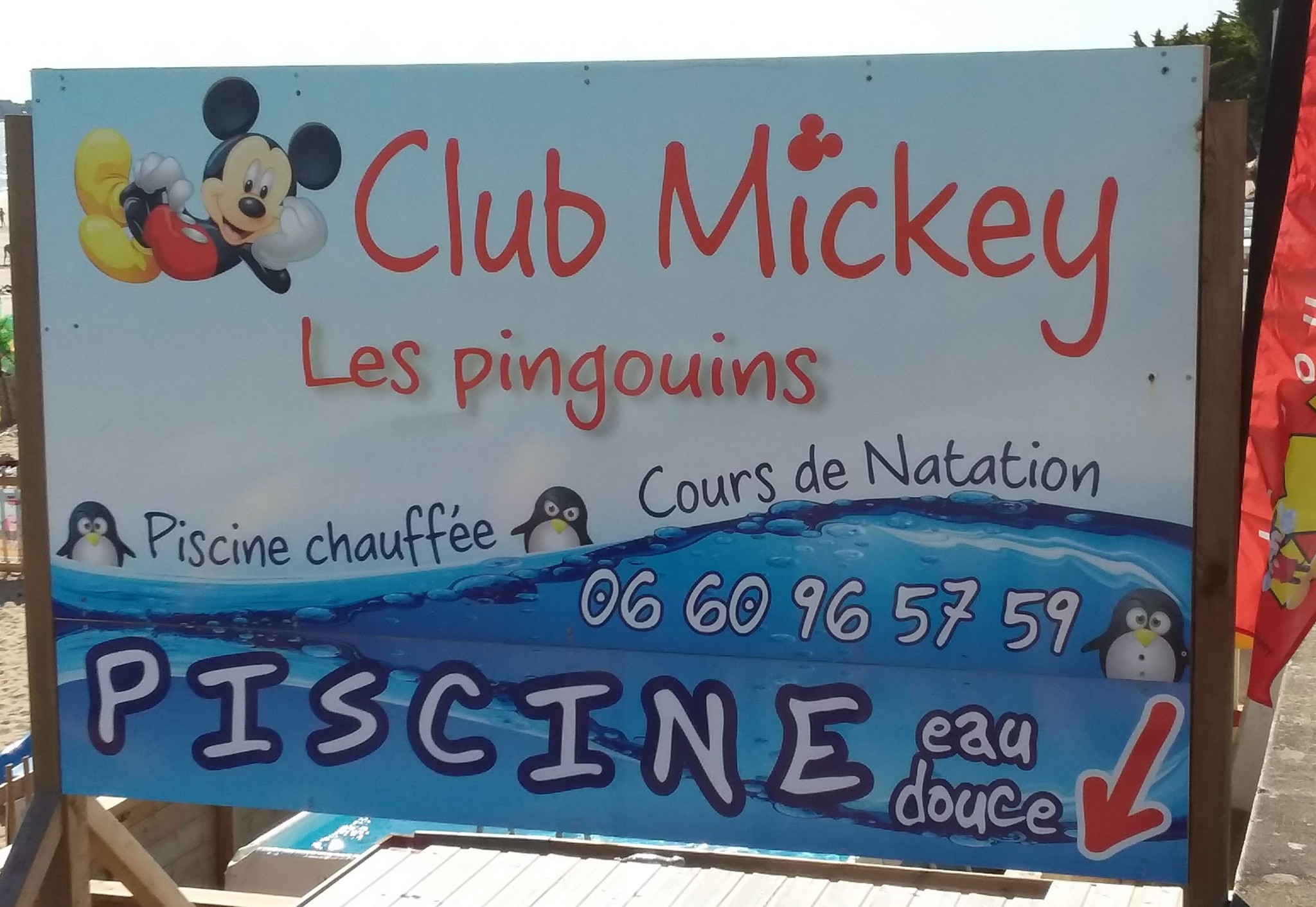 Pingouins Beach Club - Mickey Club - La Baule 