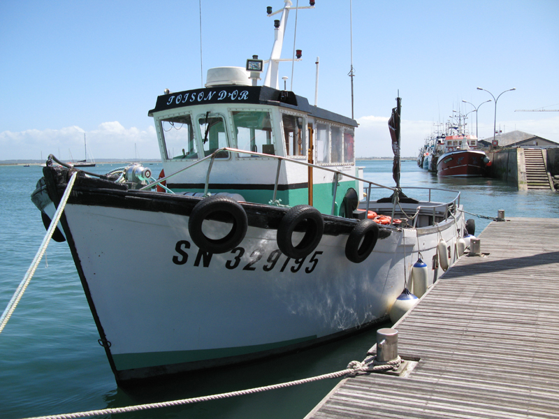 La Toison d'Or, bateau promenade amarré au Croisic- Batz sur Mer 