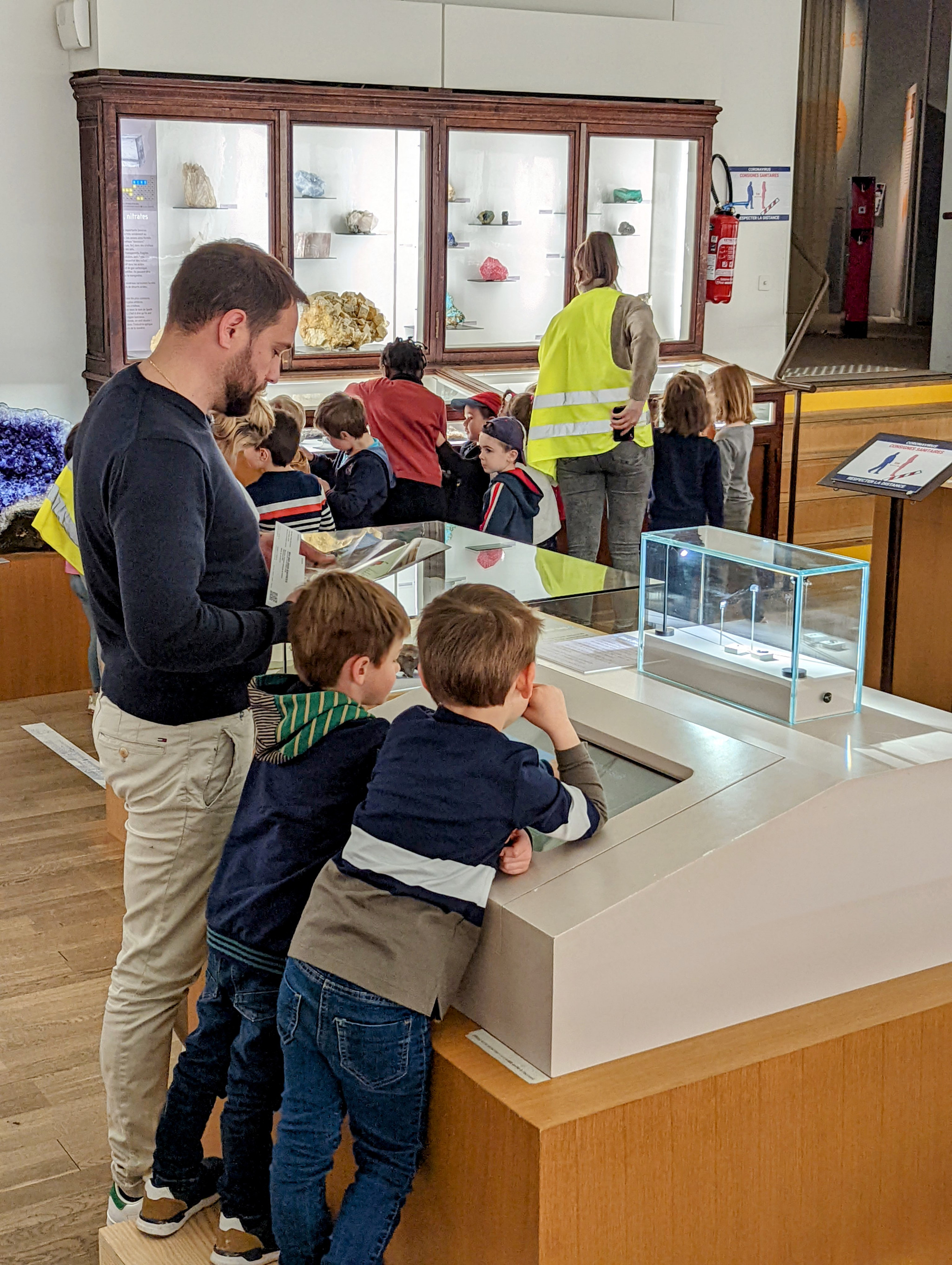 Muséum d'histoire naturelle Nantes - météorites