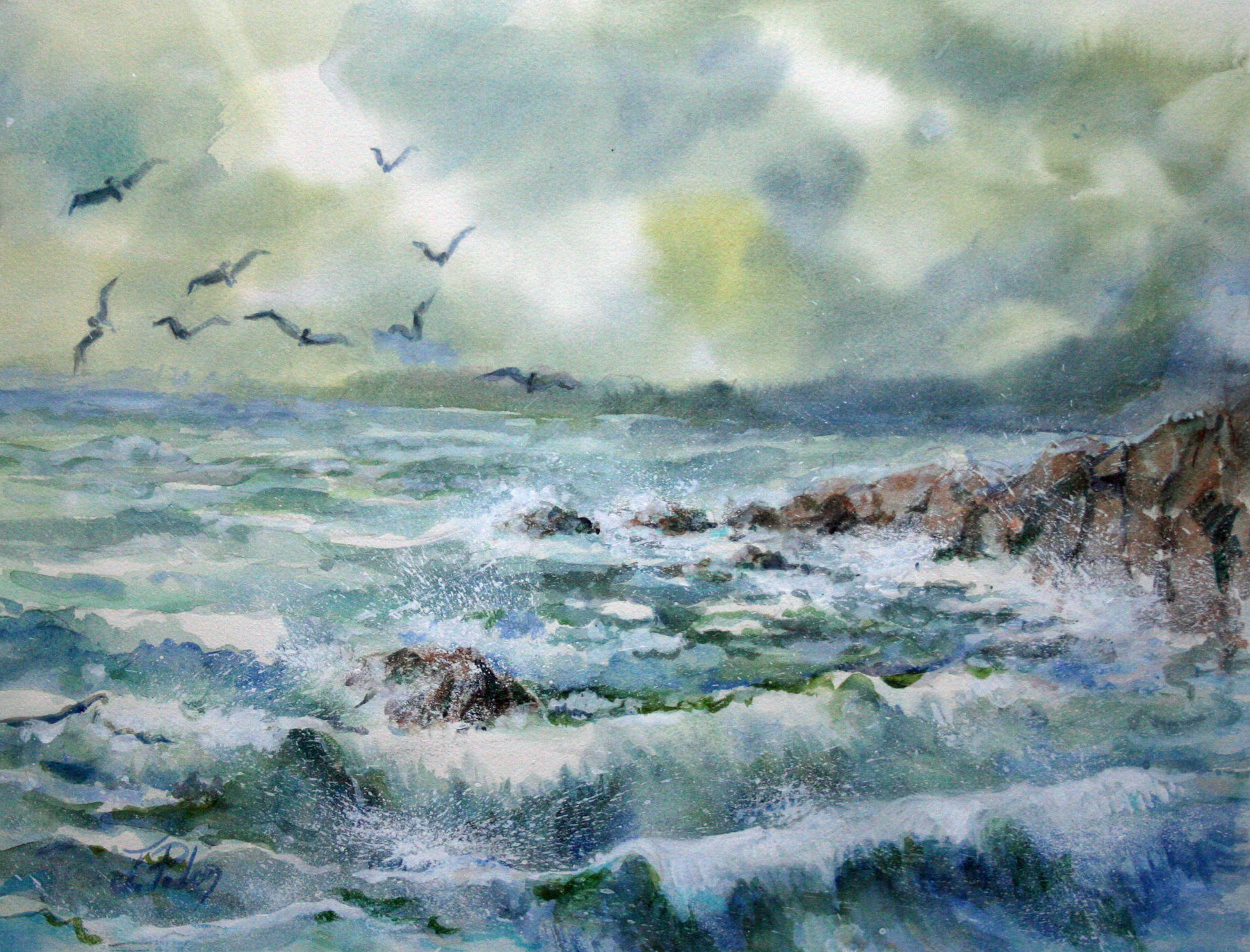 24-023wb-vol-d-oiseaux-de-mer-img-7128-2039729