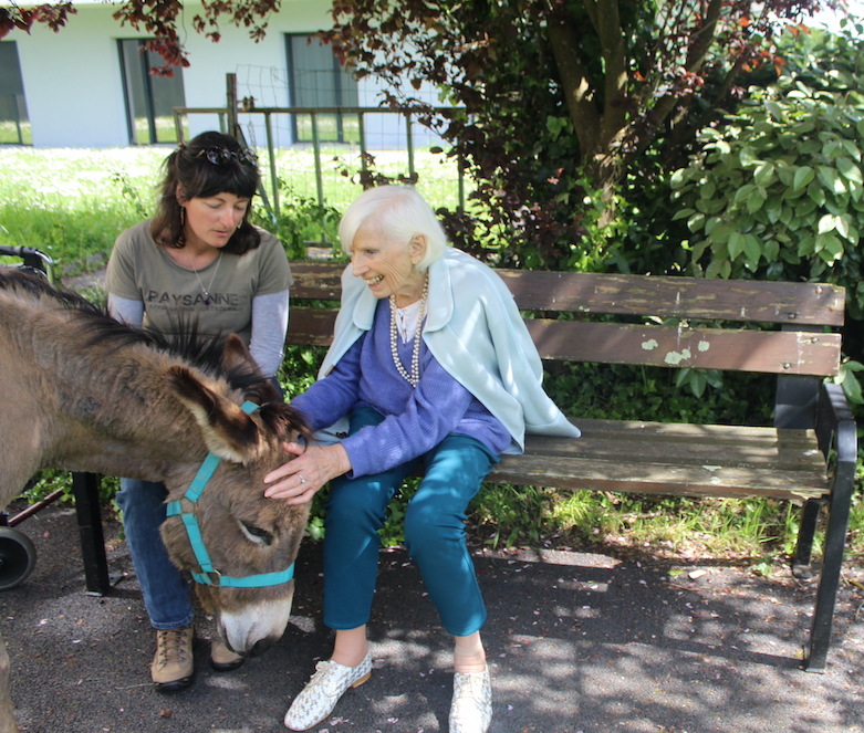 Aux ânes etc... - Guenrouet