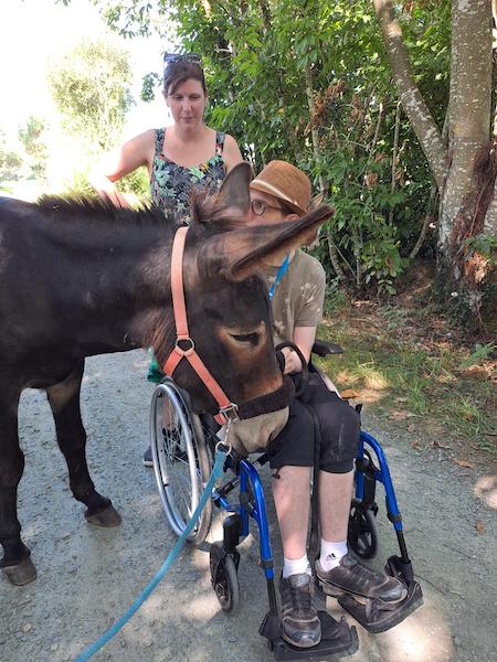 Aux ânes etc... - Guenrouet