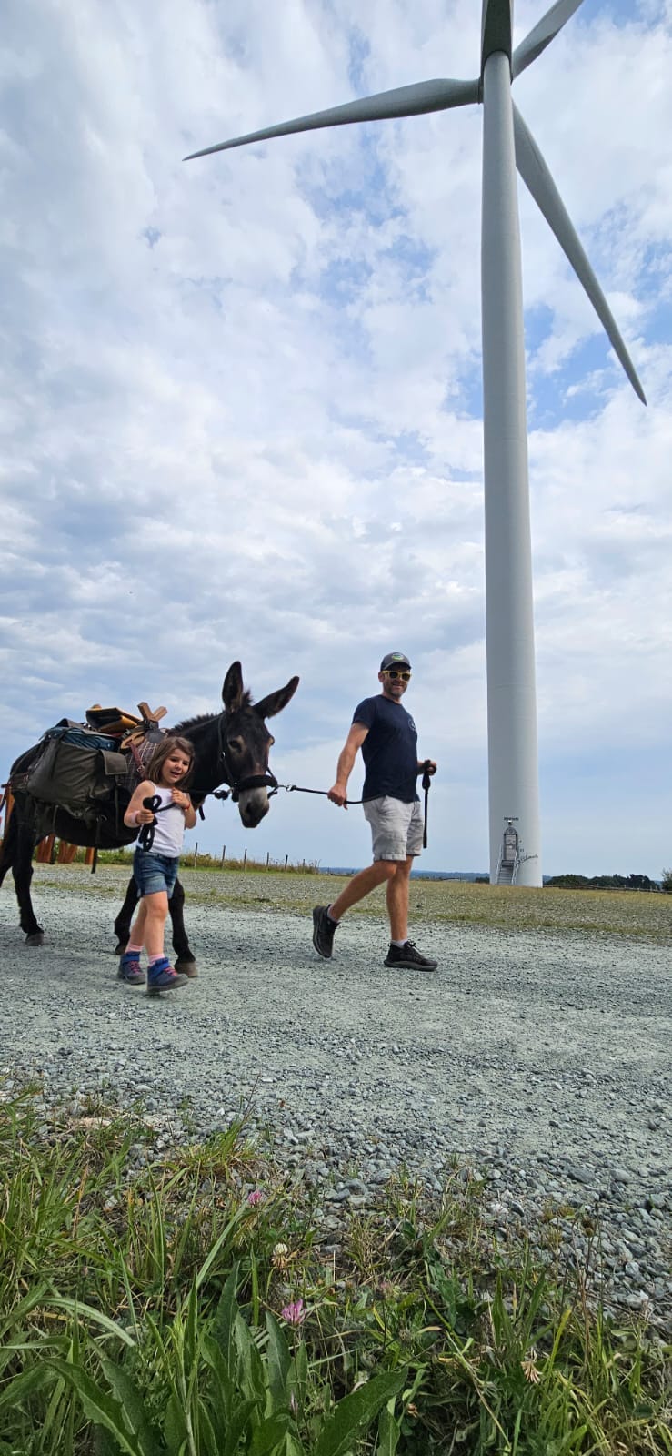 Aux ânes etc... - Guenrouet