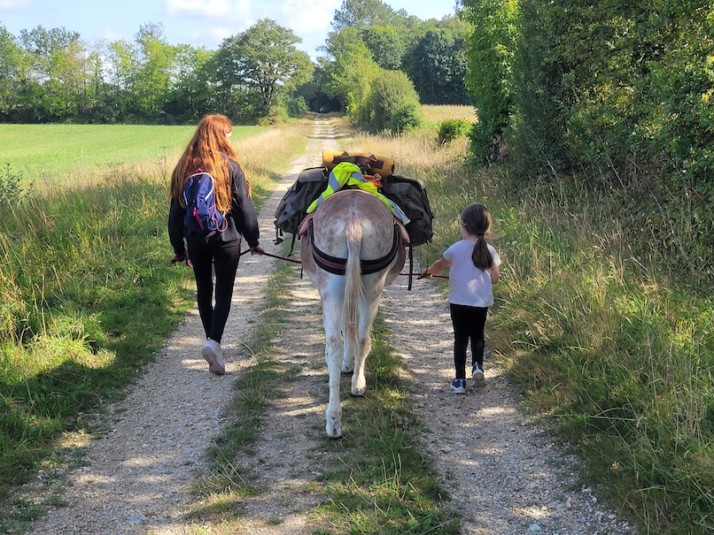 Aux ânes etc... - Guenrouet