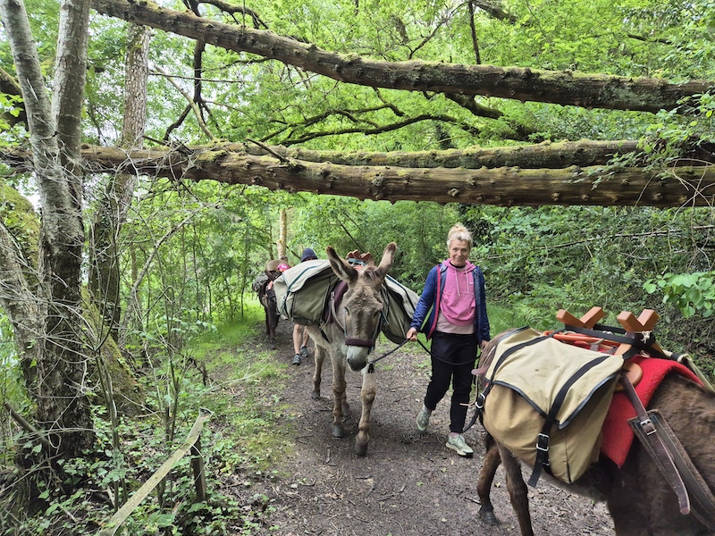 Aux ânes etc... - Guenrouet