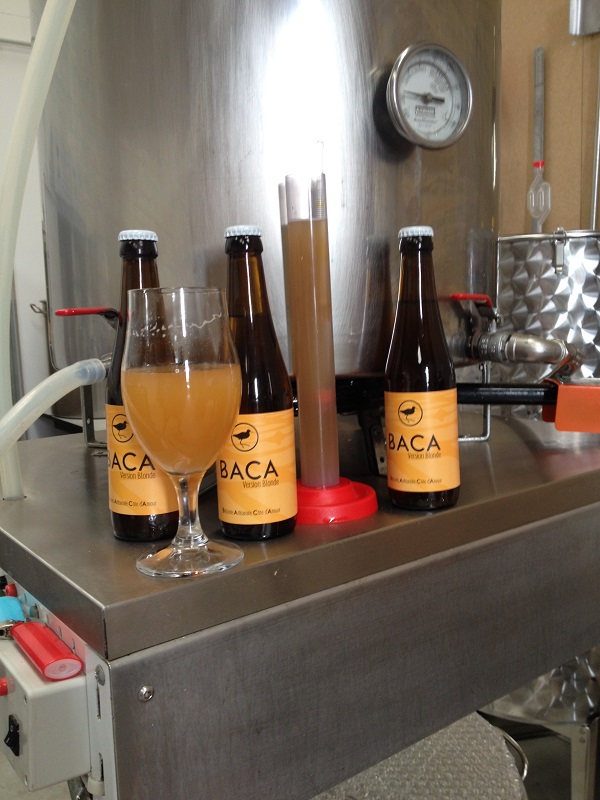 BACA - Craft brewery