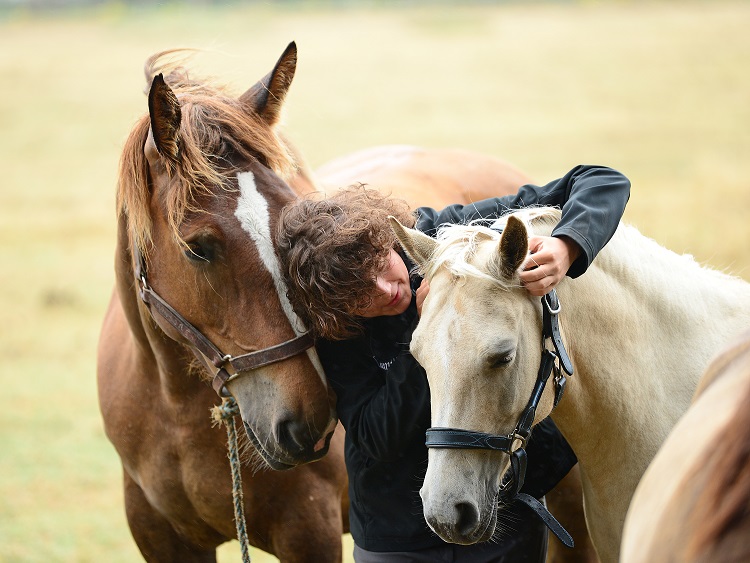 calin-1862471