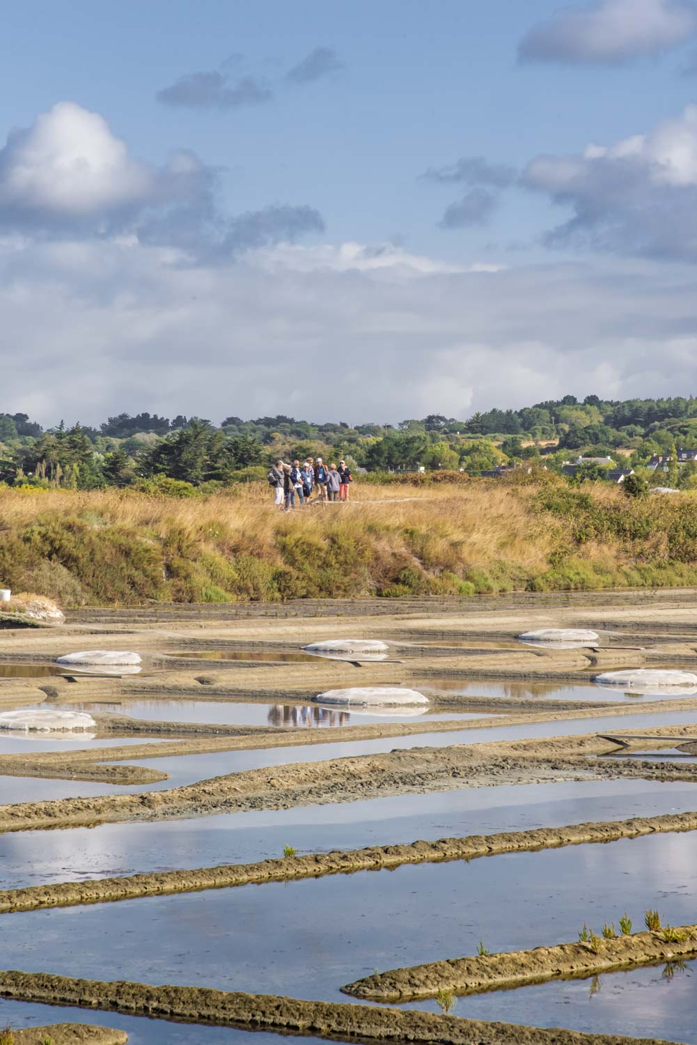 Visite guidée marais salants Guérande - Photo Guillaume Arnault