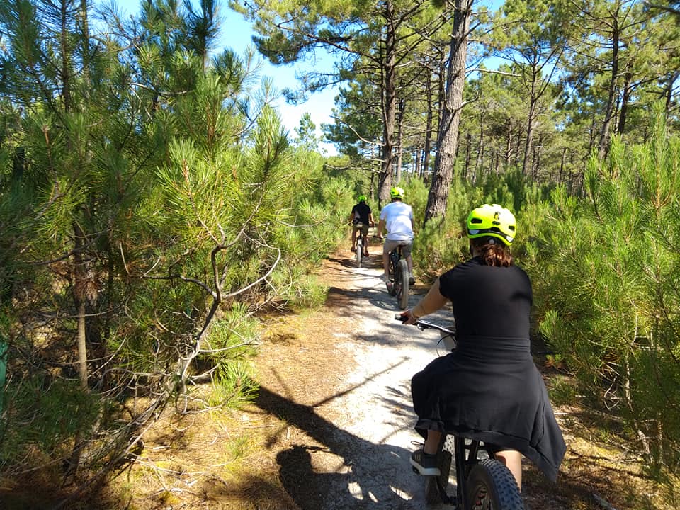 Fat Bike - Adventure 44 Guérande - forêt de Pen Bron