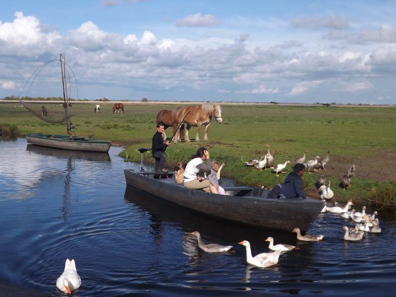 Jean-Sébastien  CRUSSON - Promenade en barque dans le marais de Brière - Au départ du port de la Chaussée Neuve