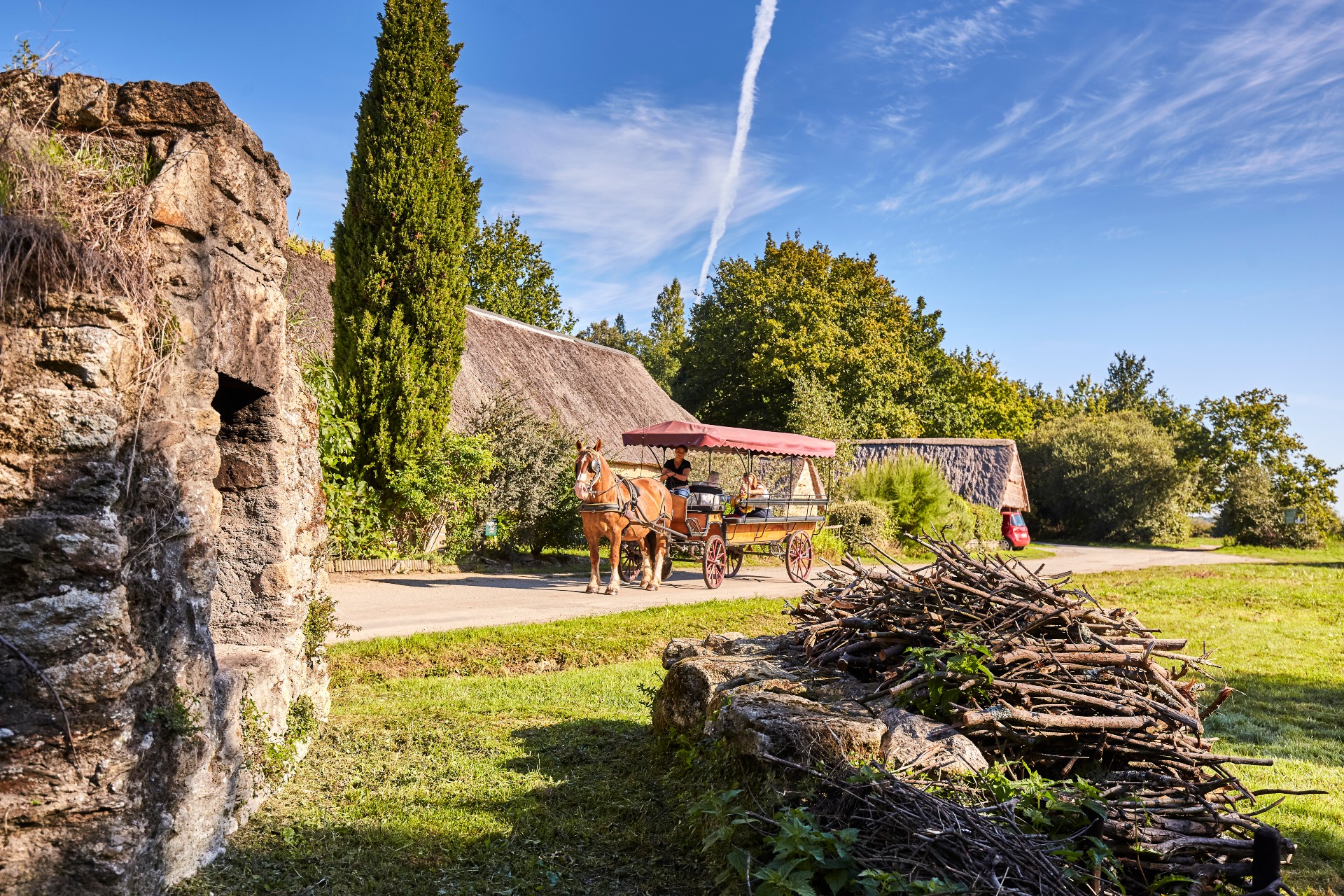 L'Arche Briéronne - Promenade en calèche - Marais de Brière