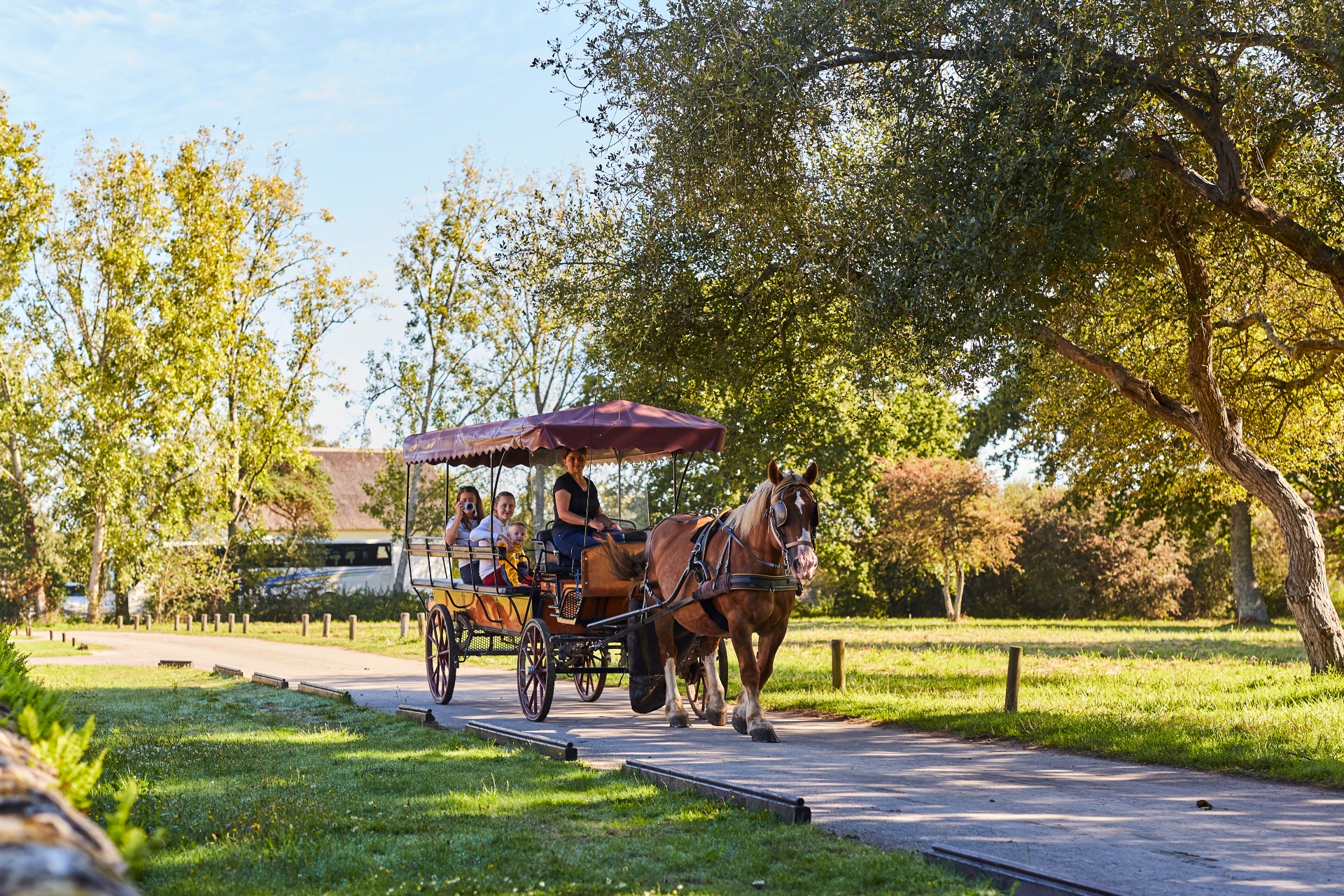 L'Arche Briéronne - Promenade en calèche - Marais de Brière