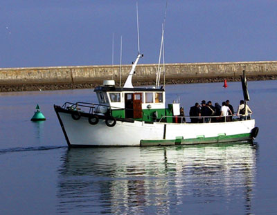  das Fischen im Meer 