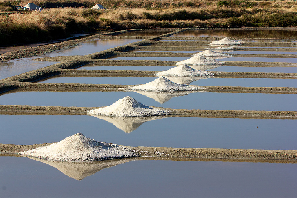 The saltmarshes of Pascal and Delphine