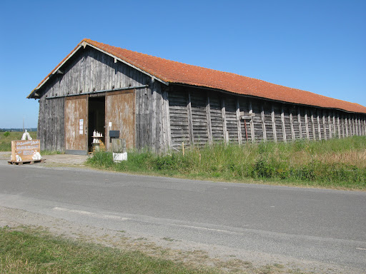 The saltmarshes of Pascal and Delphine