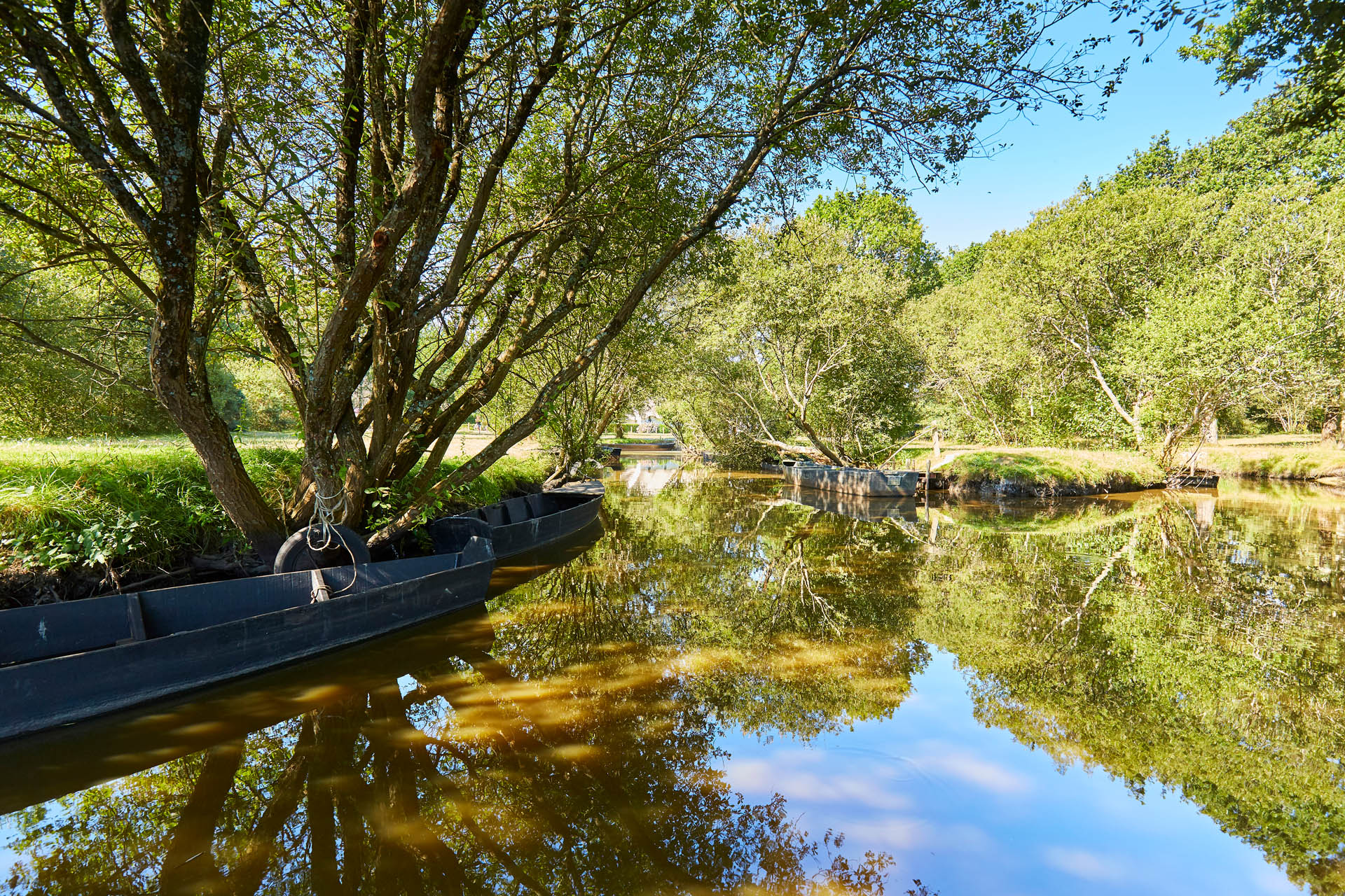 Marais de Brière - Bréca