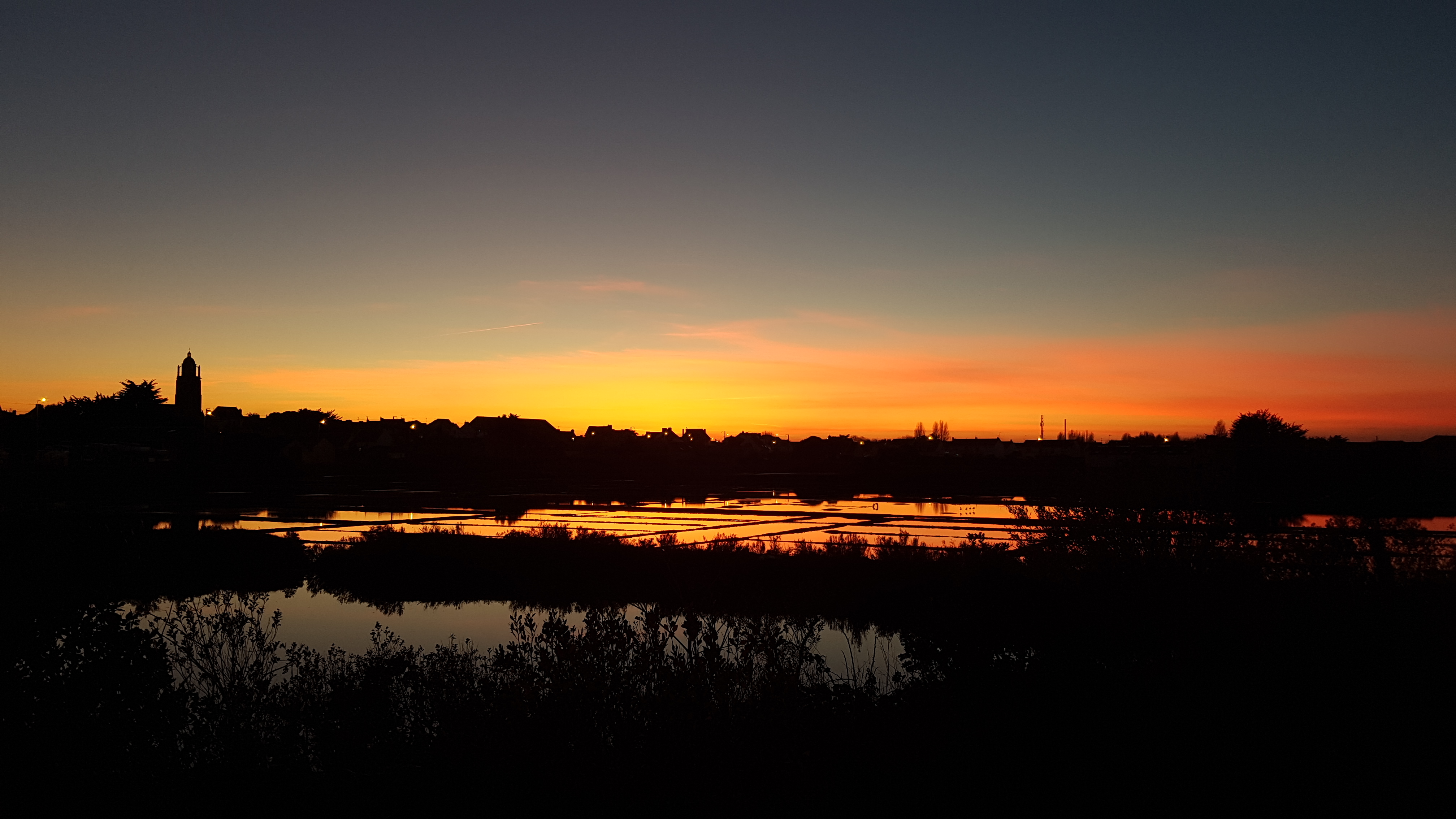 The salt marshes