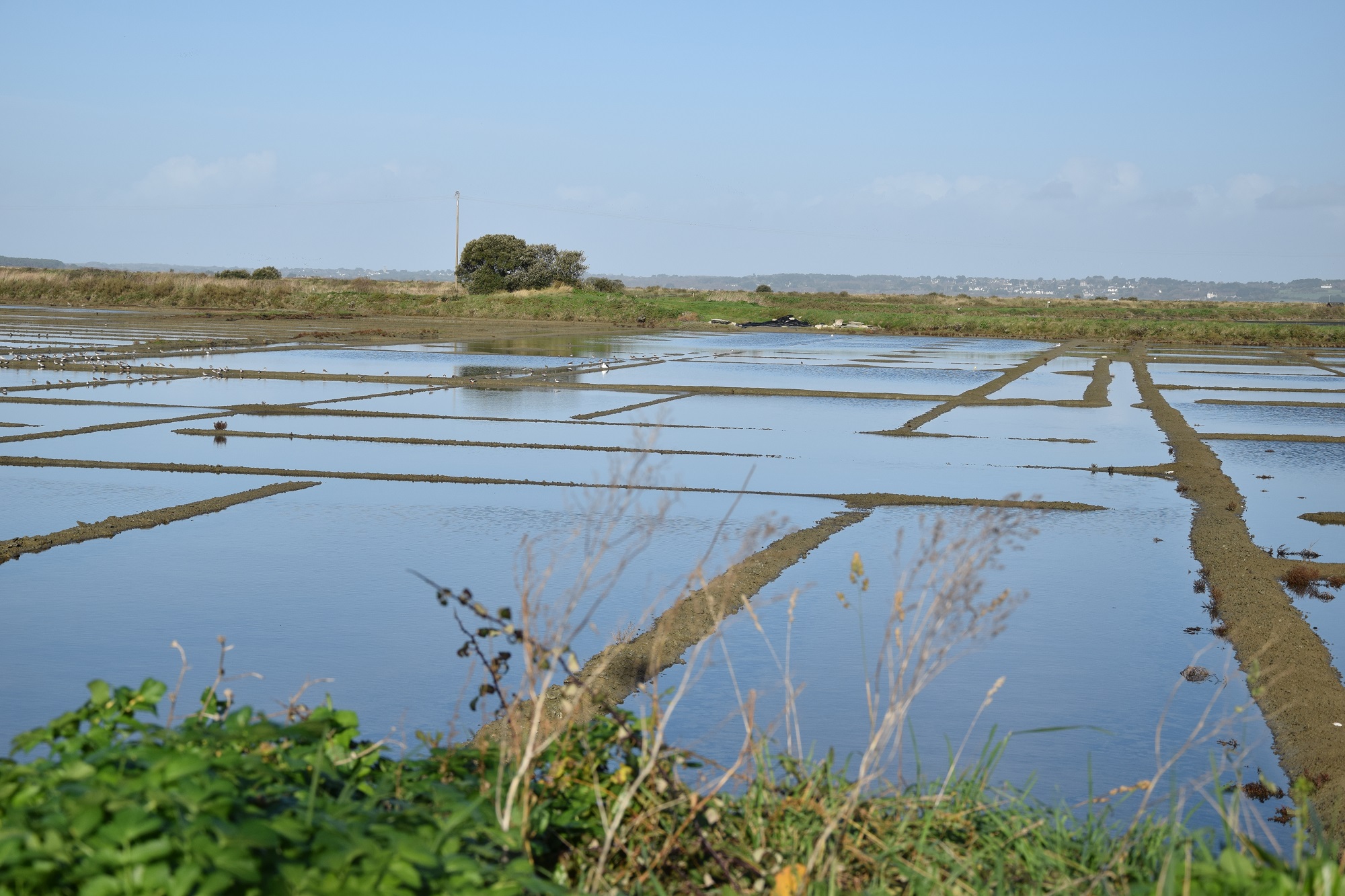 Marais salants - Batz-sur-Mer 