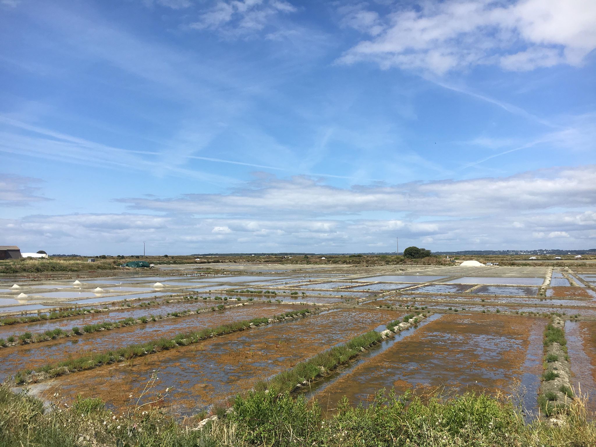 Marais salants - Batz-sur-Mer