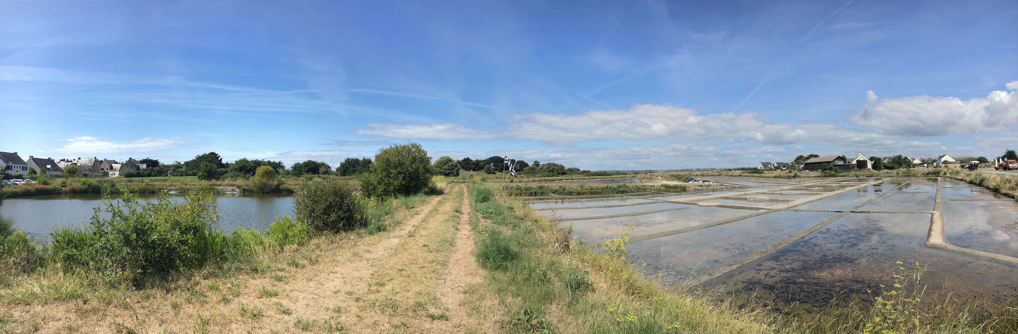 The salt marshes