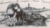 K-Unique Batz Equestre