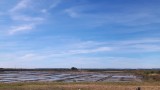 The salt marshes