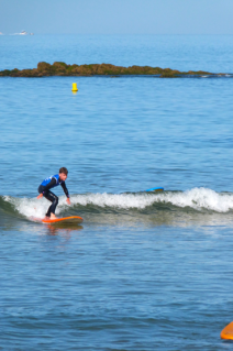 capture-d-cran-2026-01-12-121913-2042049