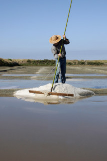 01 - Guérande - Terre de Sel - Pradel Marais Salants / Photo Pascal François