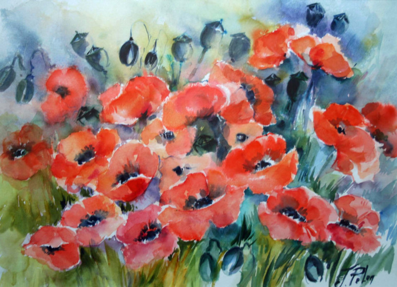 23-005wb-coquelicots-68x88-mg-6715-2039724