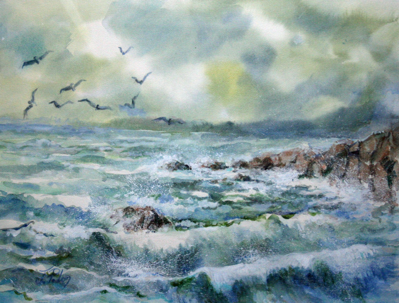 24-023wb-vol-d-oiseaux-de-mer-img-7128-2039729