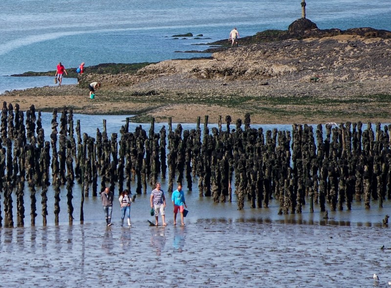 asserac-pen-be-office-de-tourisme-la-baule-presqu-ile-de-guerande-2-1611571
