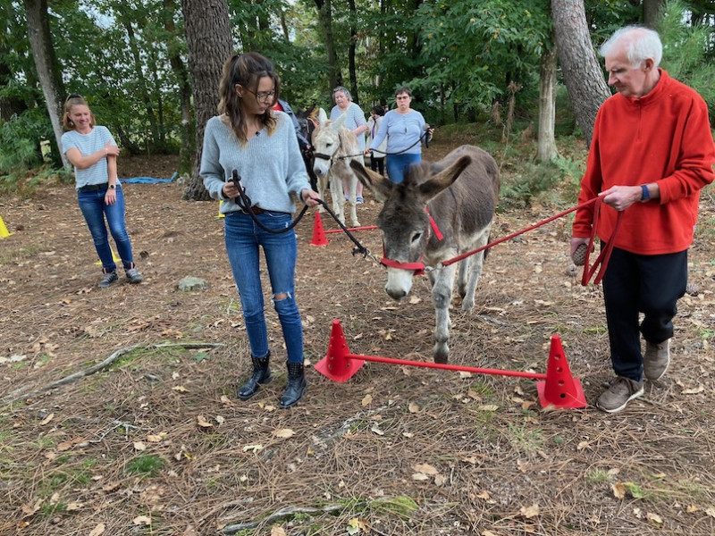 Aux ânes etc... - Guenrouet