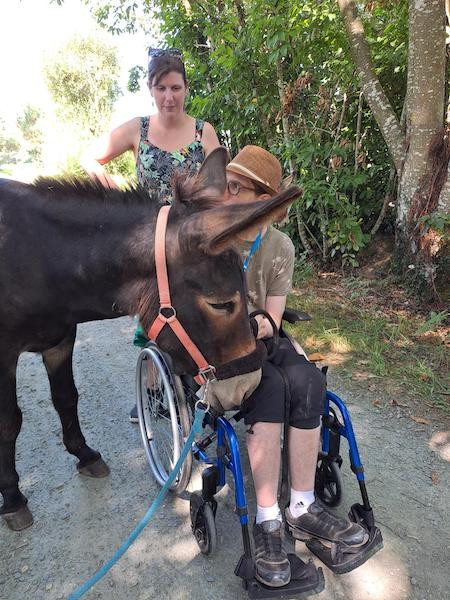 Aux ânes etc... - Guenrouet