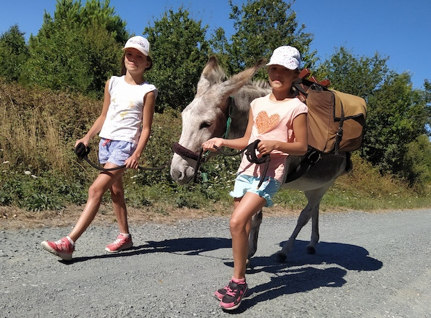 Aux ânes etc... - Guenrouet