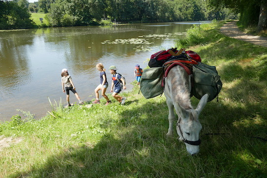 Aux ânes etc... - Guenrouet