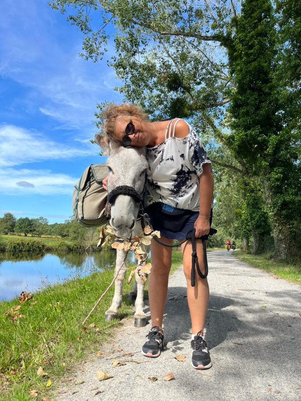 Aux ânes etc... - Guenrouet