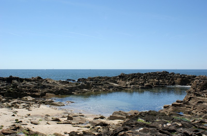 shellfish picking