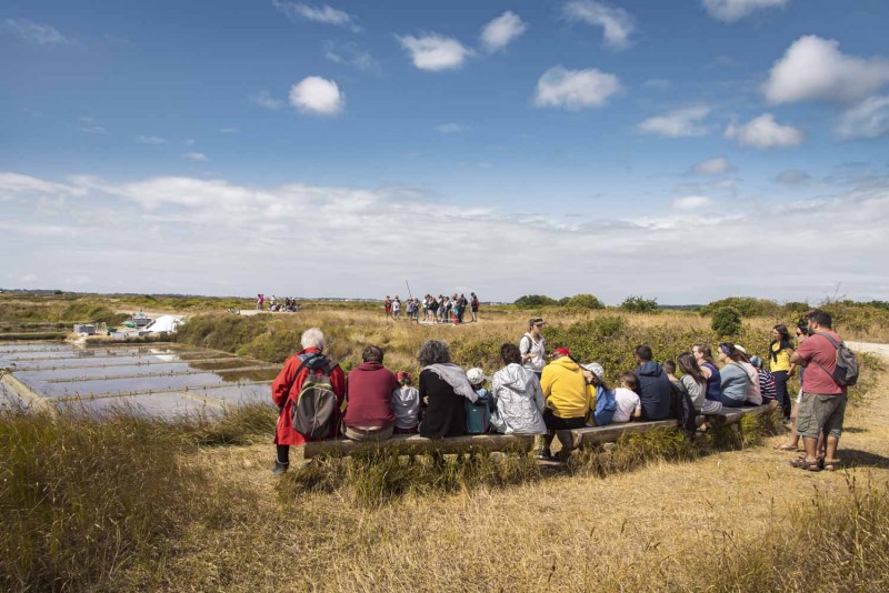 Visite guidée marais salants Guérande - Photo Guillaume Arnault